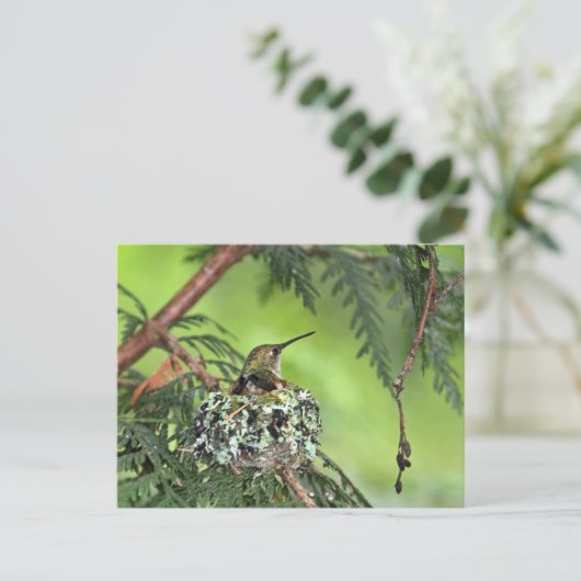 Moeder Hummingbird op Nest Briefkaart (Staand voorkant)