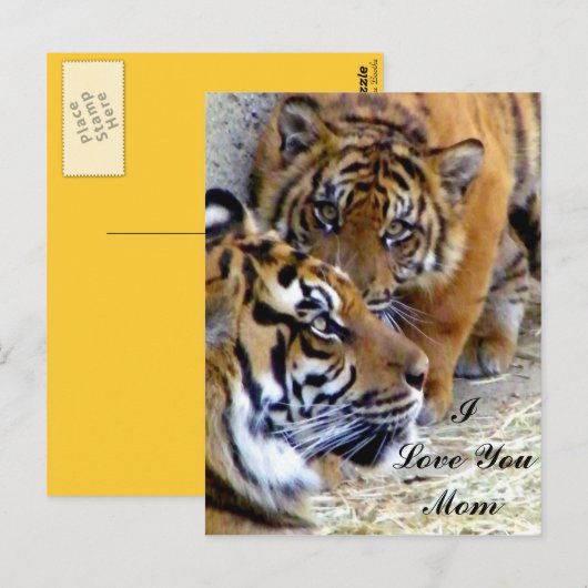 Moeder, ik hou van je mam briefkaart (Voorkant / Achterkant)