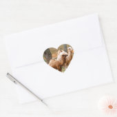 Moeder kameel en baby dier foto woestijn dier hart sticker (Envelop)