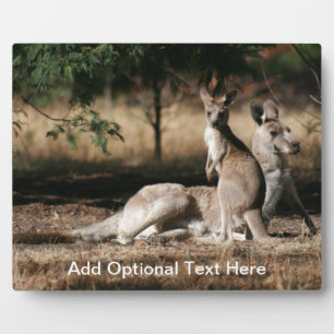 Moeder Kangaroo en Joey Relaxing Fotoplaat