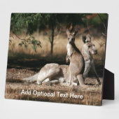 Moeder Kangaroo en Joey Relaxing Fotoplaat (Zijkant)