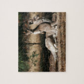 Moeder Kangaroo en Joey Relaxing Legpuzzel (Verticaal)