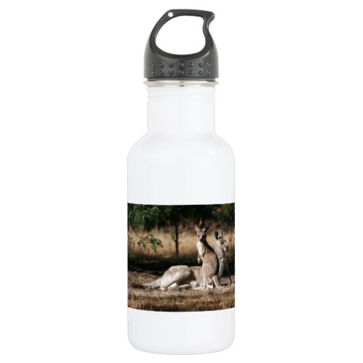 Moeder Kangaroo en Joey Relaxing Waterfles (Voorkant)