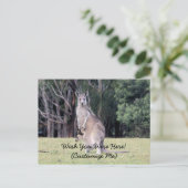 Moeder Kangaroo met Baby Joey in haar zak Briefkaart (Staand voorkant)