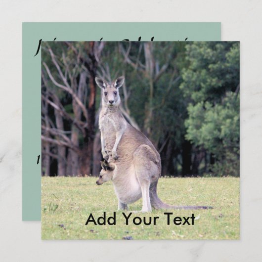 Moeder Kangaroo met Baby Joey in haar zak Kaart (Voorkant / Achterkant)