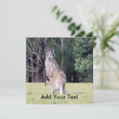 Moeder Kangaroo met Baby Joey in haar zak Kaart (Staand voorkant)