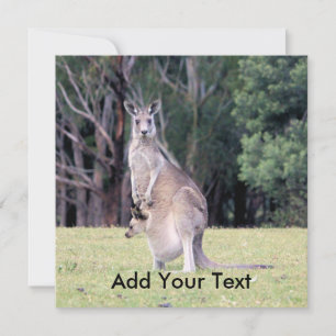 Moeder Kangaroo met Baby Joey in haar zak Kaart