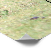 Moeder Kangaroo met Baby Joey in haar zak Poster (Hoek)