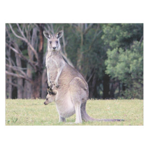 Moeder Kangaroo met Baby Joey in haar zak Tafelkleed