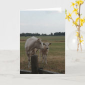Moeder koe en baby. kaart (Gele Bloem)
