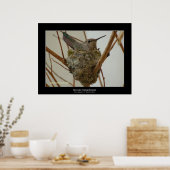 Moeder kolibrie poster (Keuken)