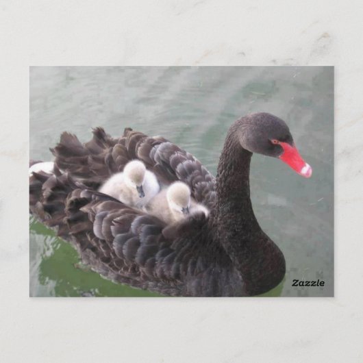 Moeder Liefde Ansichtkaart Briefkaart (Achterkant)