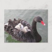 Moeder Liefde Postkaart (Voorkant)