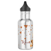 Moeder Lion en haar baby moederdag Waterfles (Links)