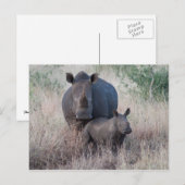 Moeder Love - Rhino Style Briefkaart (Voorkant / Achterkant)