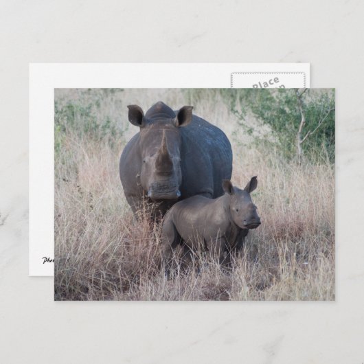 Moeder Love - Rhino Style Briefkaart (Voorkant / Achterkant)