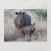 Moeder Love - Rhino Style Briefkaart (Voorkant)