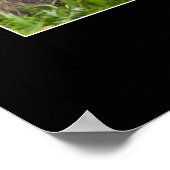 Moeder Macaque en Baby Poster (Hoek)