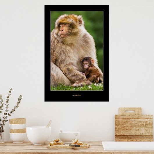 Moeder Macaque en Baby Poster (Keuken)