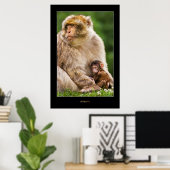 Moeder Macaque en Baby Poster (Thuiskantoor)