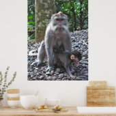 Moeder Macaque en Baby Poster (Keuken)
