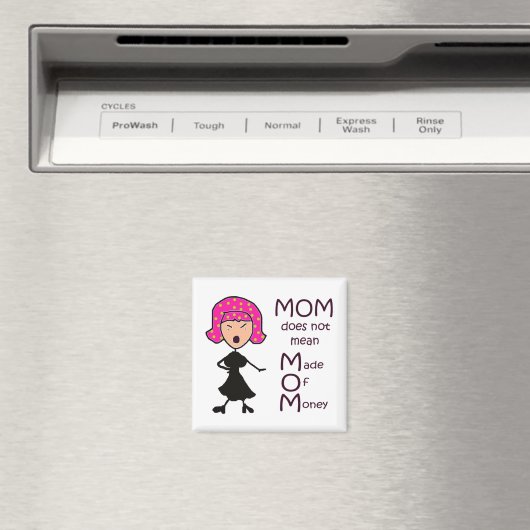 moeder magneet (Insitu (Vaatwasser))