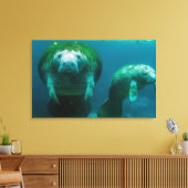 Moeder manatee met haar kalf in Crystal River Canvas Afdruk (Insitu (Woonkamer))