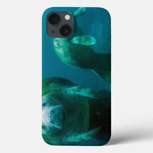 Moeder manatee met haar kalf in Crystal River Case-Mate iPhone Case (Achterkant)