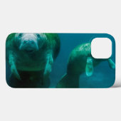 Moeder manatee met haar kalf in Crystal River Case-Mate iPhone Case (Achterkant (horizontaal))