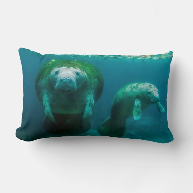 Moeder manatee met haar kalf in Crystal River Kussen (Voorkant)