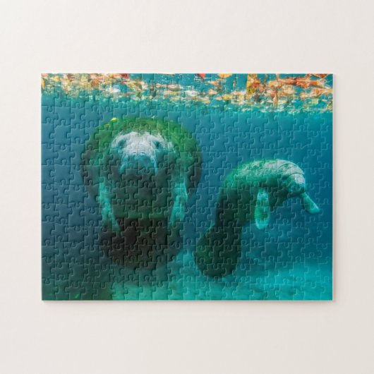 Moeder manatee met haar kalf in Crystal River Legpuzzel (Horizontaal)