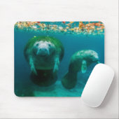 Moeder manatee met haar kalf in Crystal River Muismat (Met muis)