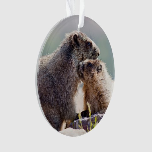 Moeder Marmot met Baby Ornament (voorkant)