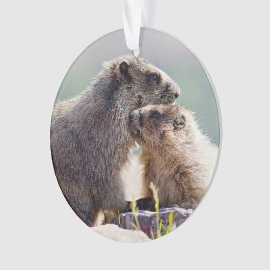 Moeder Marmot met Baby Ornament (voorkant)