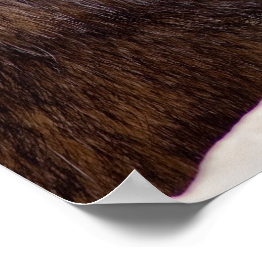 Moeder Marmot met Baby Poster (Hoek)