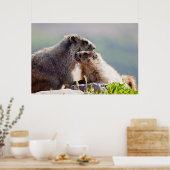 Moeder Marmot met Baby Poster (Keuken)