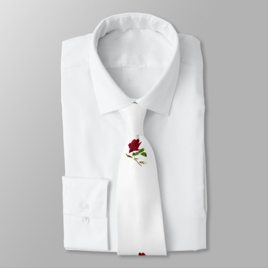 moeder Mary Stropdas (Gebonden)