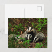 Moeder met baby's das briefkaart (Voorkant / Achterkant)