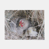 Moeder met nieuwe kippen deurmat (Voorkant)