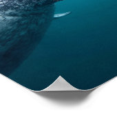 Moeder Narwal & Kalf - Eerste Zwemmen in het Noord Poster (Hoek)