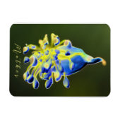 Moeder Natuur 3 x 4-inch Flexibele Photo Magnet Magneet (Horizontaal)