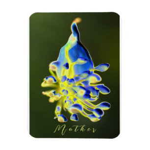 Moeder Natuur 3 x 4-inch Flexibele Photo Magnet Magneet
