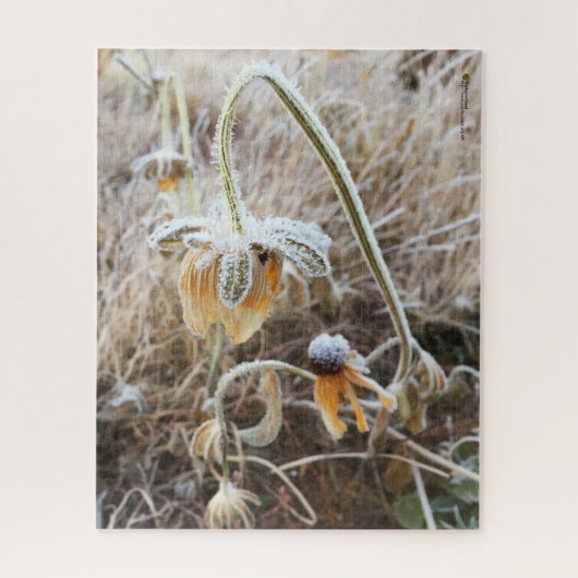 Moeder Natuur raakt met Frosty Rudbeckia Flowers Legpuzzel (Verticaal)