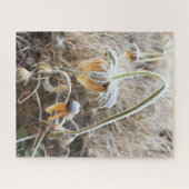 Moeder Natuur raakt met Frosty Rudbeckia Flowers Legpuzzel (Horizontaal)