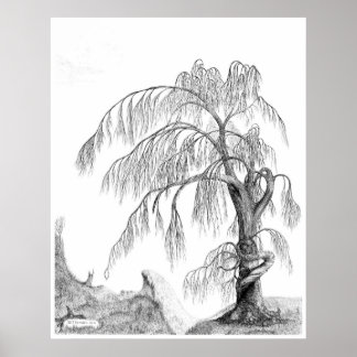 "Moeder Natuur" van Jeff Camden Poster