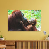 Moeder orang-oetan met baby canvas afdruk (Insitu (Woonkamer))