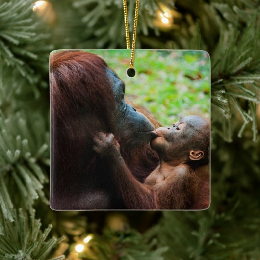 Moeder orang-oetan met baby keramisch ornament (Boom)