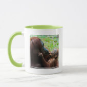 Moeder orang-oetan met baby mok (Links)