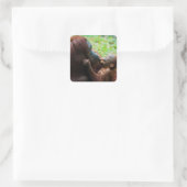 Moeder orang-oetan met baby vierkante sticker (Tas)