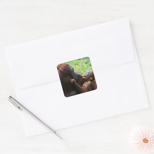 Moeder orang-oetan met baby vierkante sticker (Envelop)